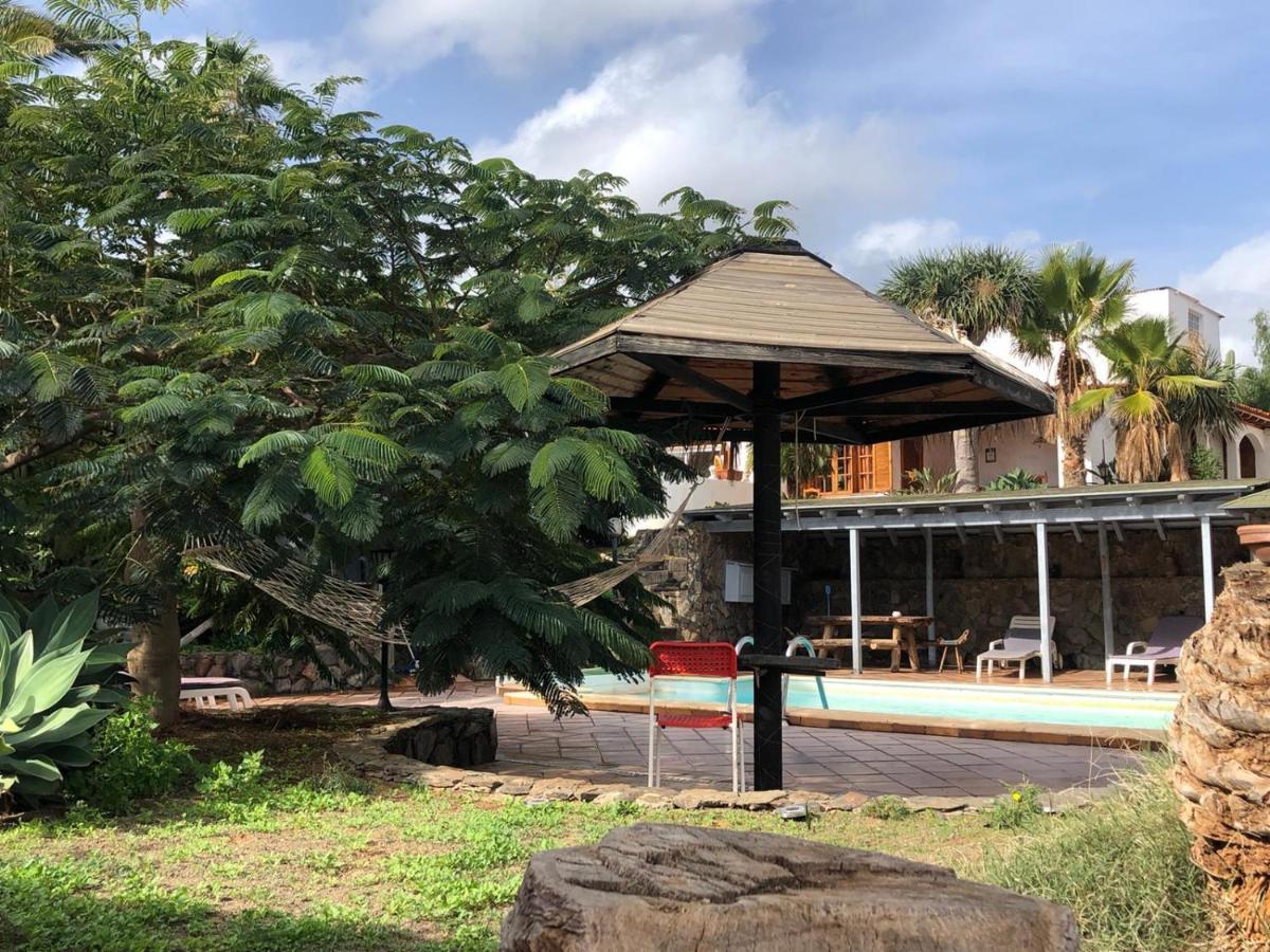 Palmeras Ingenio Exterior photo